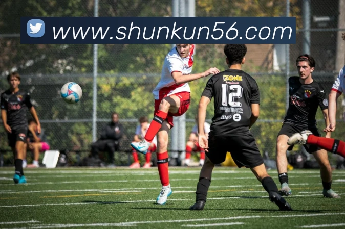 App Interface Preview